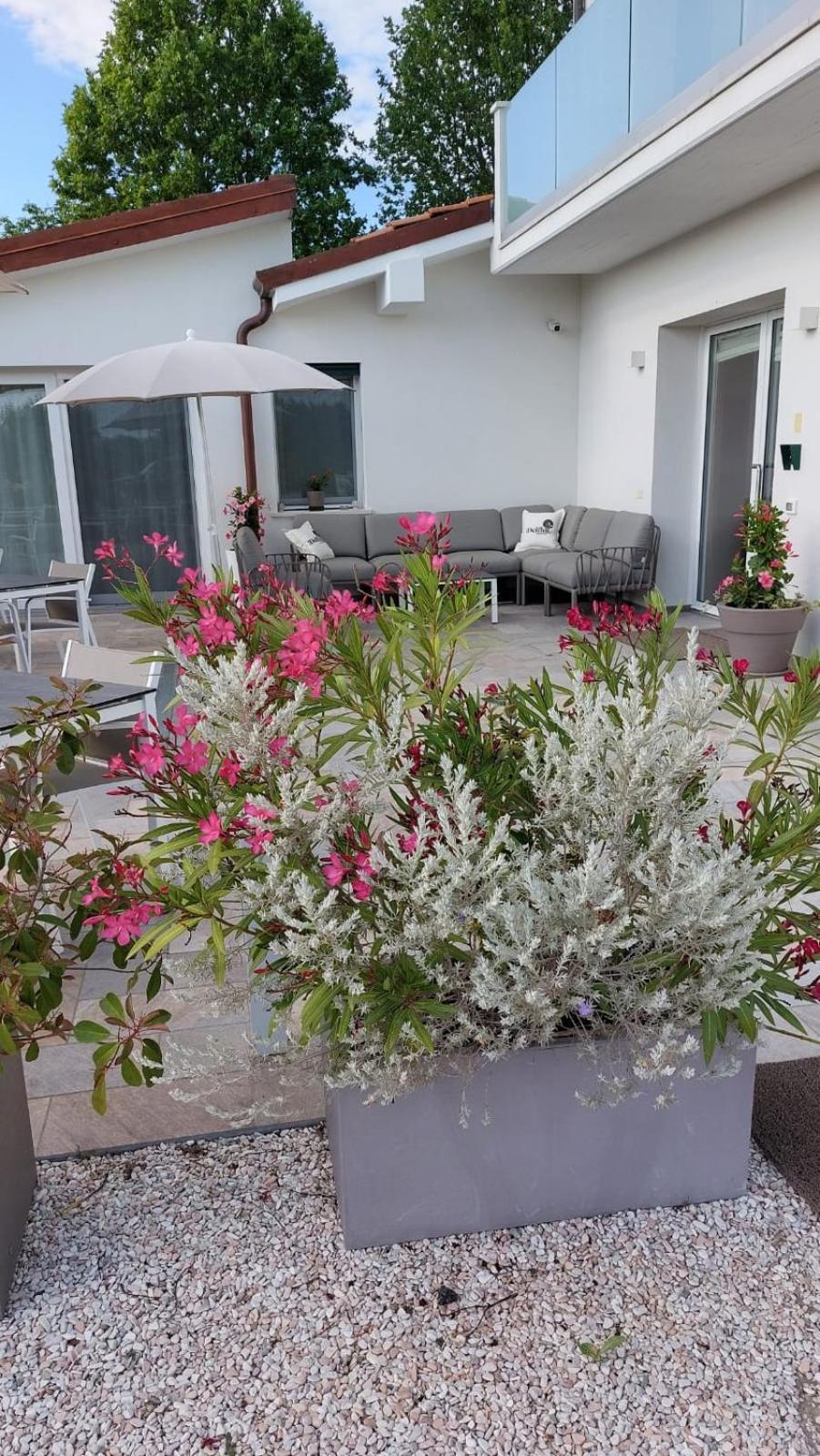 I Delfini - Natural B&B Cesenatico Eksteriør bilde